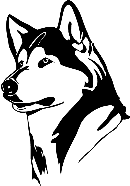 Washington Huskies 1995-2000 Partial Logo iron on transfers for clothing